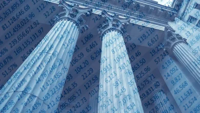 A New Public Data Source: Call Reports from 1959 to 2025