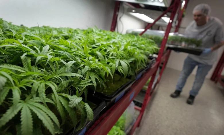 A guide to what’s changing — and when : NPR