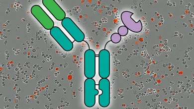 A new immunotherapy approach could work for many types of cancer | MIT News