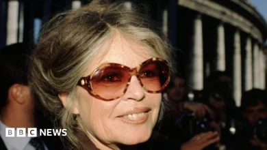 Actress Brigitte Bardot dies aged 91, French media reports