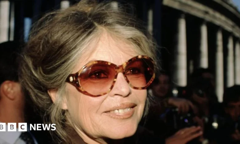 Actress Brigitte Bardot dies aged 91, French media reports