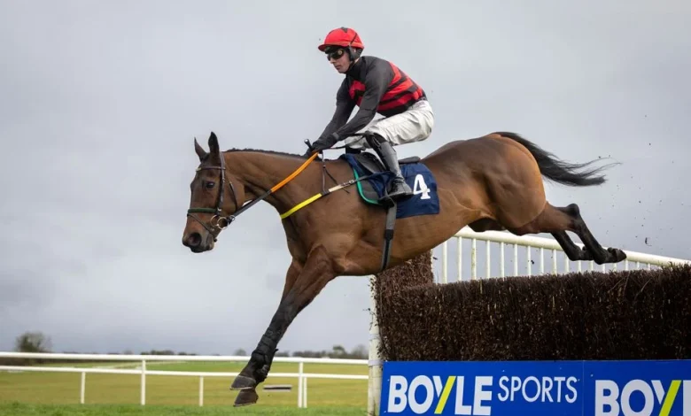 Affordale Fury and Sam Ewing spring Savills Chase shock by downing Galopin Des Champs with Inothewayurthinkin well beaten