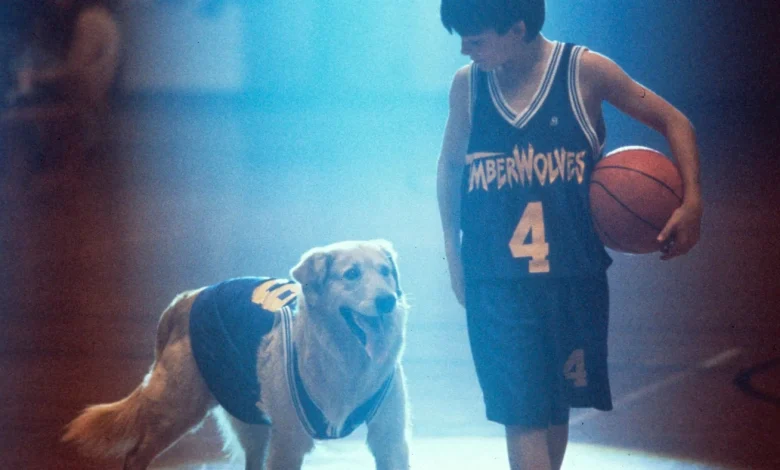 'Air Bud' gets another life through Missouri redistricting : NPR