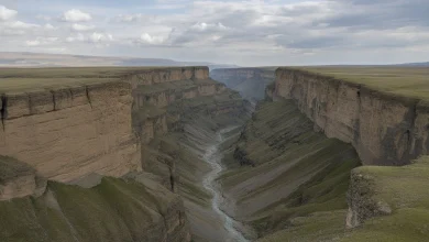 Akhulgo Historical Site Tourism: Exploring Dramatic Cliffs and Living History in Dagestan