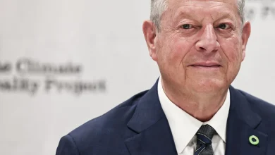 Al Gore steps in to boost Tennessee Democrat in crucial special election