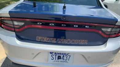 Alabama man dead after vehicle crashes into utility pole, tree