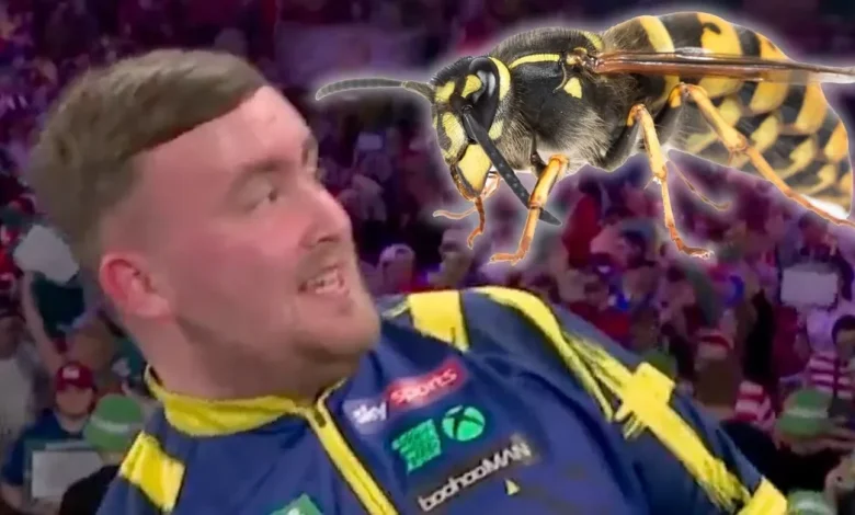 Ally Pally wasp delights darts fans by buzzing back to life after assassination attempt
