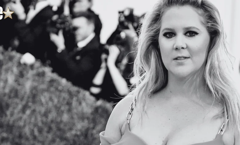 Amy Schumer Poses in Stylish Valentino Dress After Weight Loss