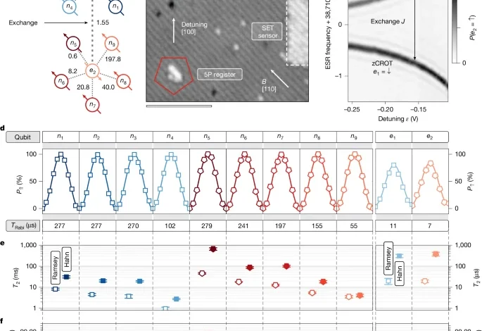 An 11-qubit atom processor in silicon