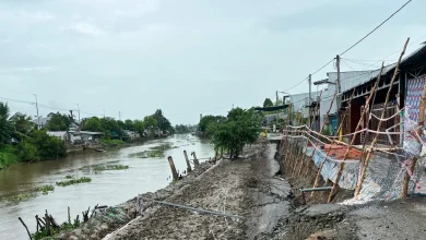 An Giang xảy ra 106 vụ sạt lở, thiệt hại 12 tỷ đồng