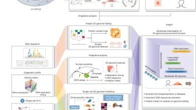 An integrated view of the structure and function of the human 4D nucleome