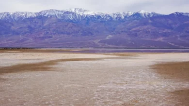 Ancient lake comes back to life in Death Valley after record rainfall