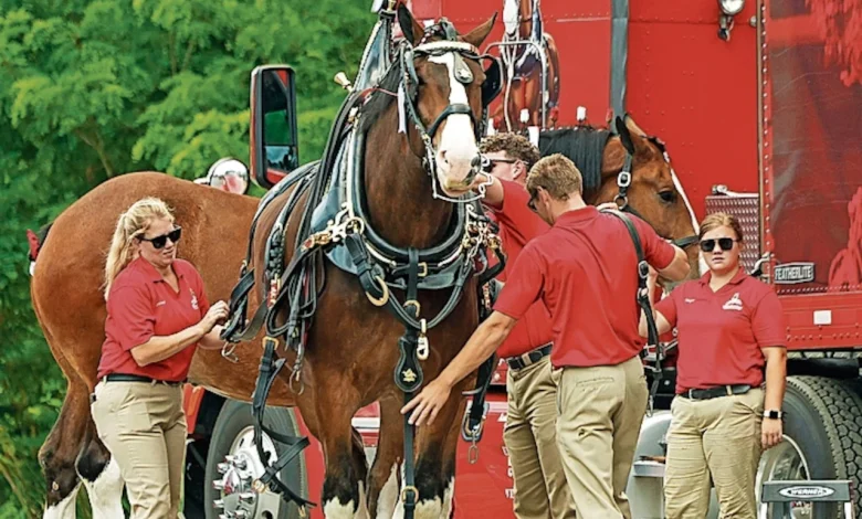 Anheuser-Busch is closing 3 plants. What that means for NY’s largest brewery near Baldwinsville