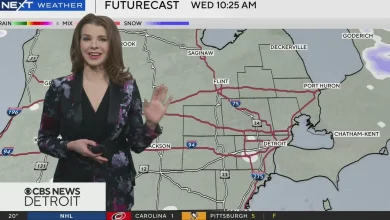 Another Round of Snow before the New Year