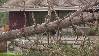 Another storm system with wind, rain on Thursday before calmer weather ahead