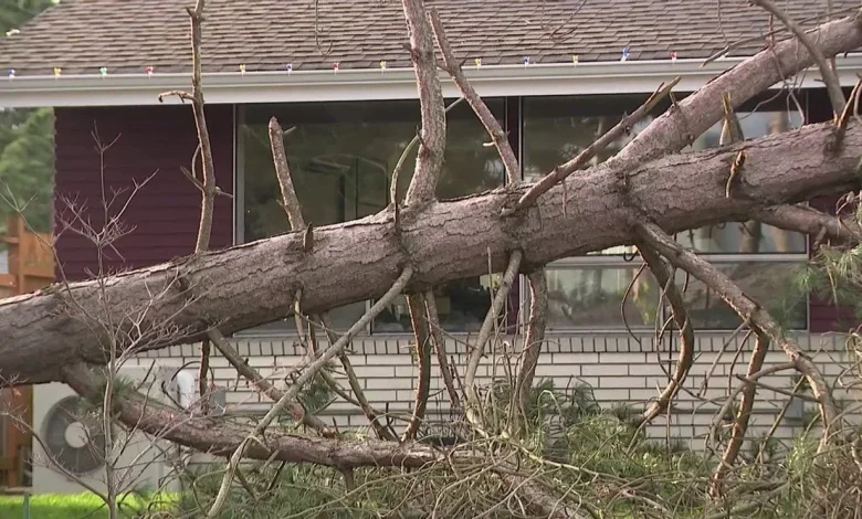 Another storm system with wind, rain on Thursday before calmer weather ahead