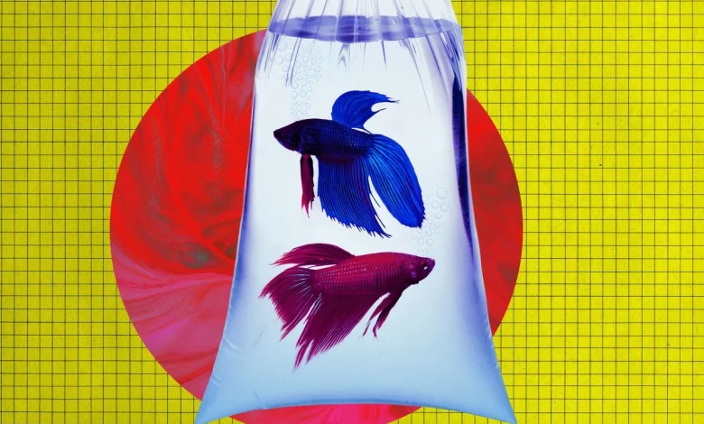 Anthropic's Advanced New AI Tries to Run Vending Machine, Goes Bankrupt After Ordering PlayStation 5 and Live Fish