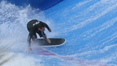 Arbitrator: Termite company Terminix owes $6 million to Alabama's Waterville USA amusement park