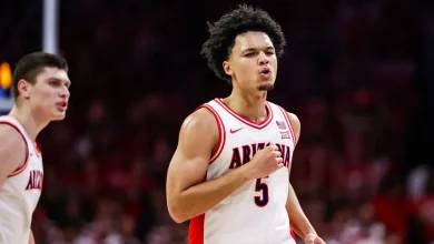 Arizona's Brayden Burries once saw himself as Alabama basketball's next Mark Sears