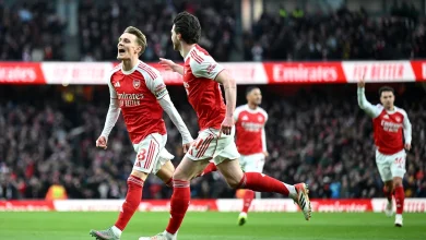 Arsenal 2 - 1 Brighton & Hove Albion - Match Report