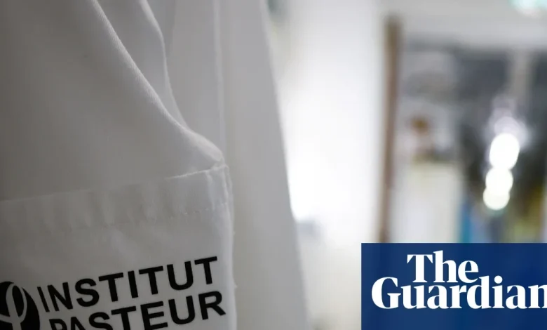 As NHS braces for record flu cases, is the strain active in continental Europe too?