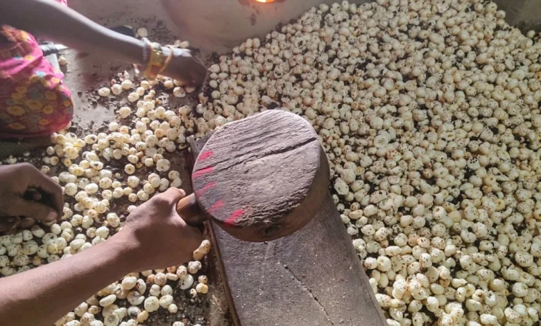 As Trump’s tariffs hit Indian fox nuts, the superfood eyes new markets | Trade War