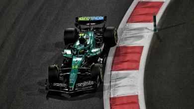 Aston Martin gets heavy fine for drivers skipping fan event