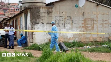 At least 11 killed in South Africa mass shooting