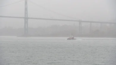 Atmospheric river brings flood watch, streamflow advisories, warnings to B.C.’s south coast