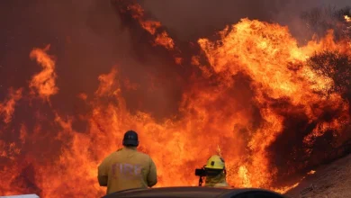 Author of LAFD Palisades fire report declined to endorse final version, called it 'highly unprofessional'