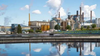 B.C. pulp mill to close, leaving 350 employees out of work