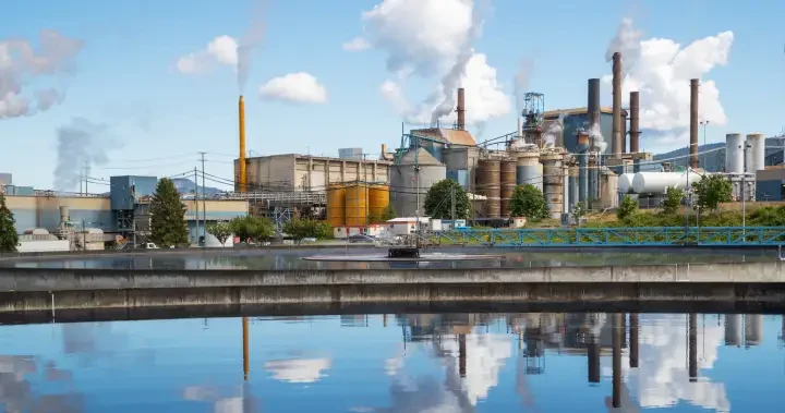 B.C. pulp mill to close, leaving 350 employees out of work