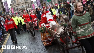 Ban live reindeer events at Christmas, say animal campaigners