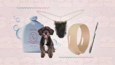 Beauty for dogs, pull-up pubic hair and appearance inflation: 3 prolific beauty writers sum up 2025
