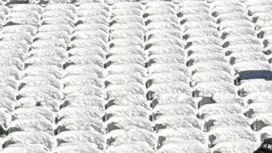 Bengals didn't remove snow from stadium seats, in apparent violation of league policy