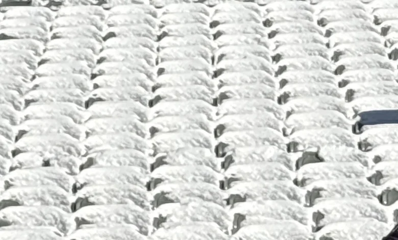 Bengals didn't remove snow from stadium seats, in apparent violation of league policy