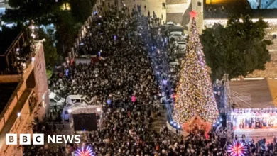 Bethlehem Christmas tree illuminated for first time since Gaza war began