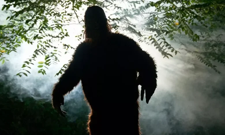Bigfoot hunters closing in on solving mystery and insist mythical beast 'exists'