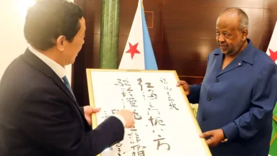 Bilateral meeting with H.E. Ismaïl Omar Guelleh, President of the Republic of Djibouti