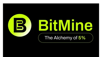 BitMine Immersion (BMNR) Announces ETH Holdings Reach 3.73 Million Tokens, and Total Crypto and Cash Holdings of $12.1 Billion