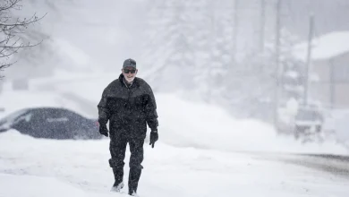 Bitter cold, snow forecasted for Calgary later this week