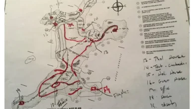'Blueprint of abuse': What the secret map of Epstein Island reveals