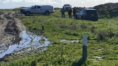 Body found on beach in Santa Cruz County north of site where shark was spotted, officials say