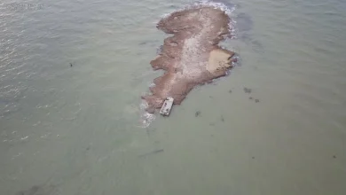 Body of missing Chesapeake Beach boater recovered near Taylors Island