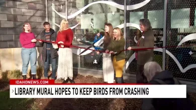 Boise unveils bird-safe mural at library to prevent bird strikes