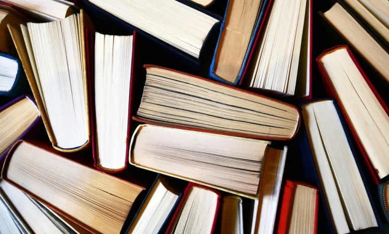 Books of the year for 2025, according to these critics