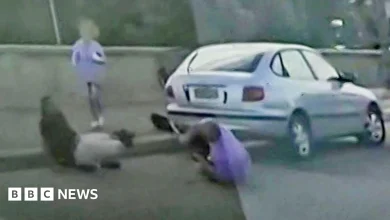 Boris and Sofia Gurman: Hero couple tried to stop gunman before being killed in Bondi attack