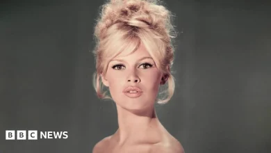 Brigitte Bardot: The blonde bombshell who revolutionised French cinema