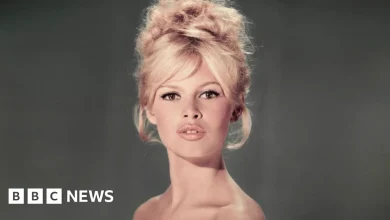Brigitte Bardot: The blonde bombshell who revolutionised cinema in the 1950s