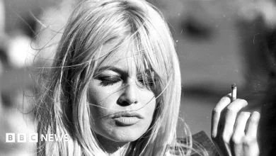 Brigitte Bardot: The life and career of the 1950s screen icon in pictures